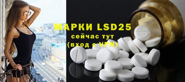 ГАЛЛЮЦИНОГЕННЫЕ ГРИБЫ Абаза