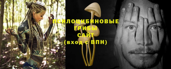 мяу мяу мука Арсеньев