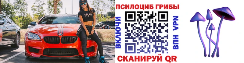 купить наркоту  Сатка  Псилоцибиновые грибы Cubensis 